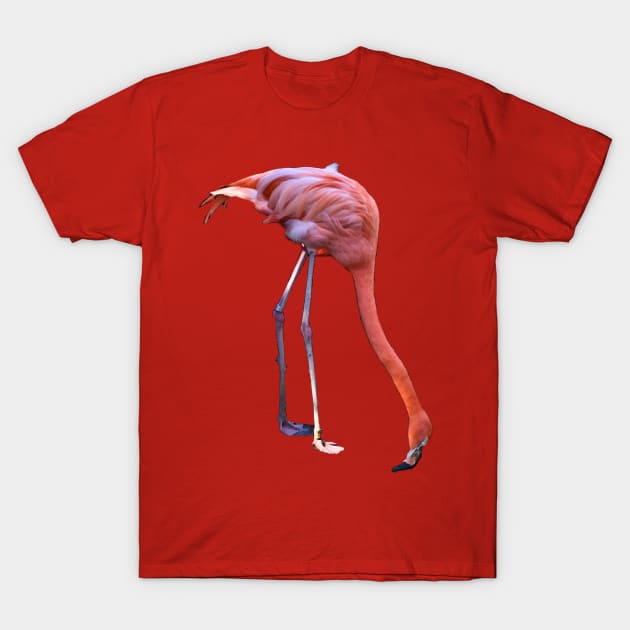 Pink Flamingo Mirage T-Shirt by RoxanneG